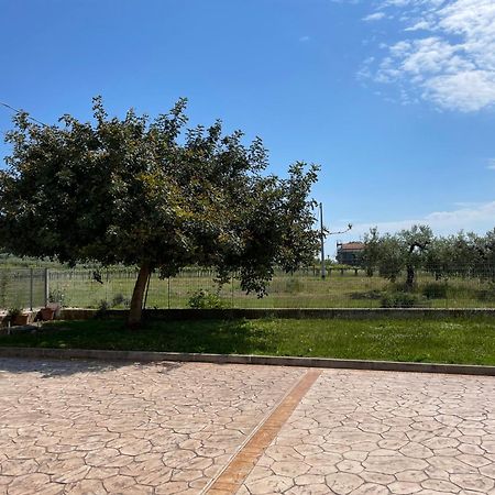 La Casa Di Michela Villa Torino di Sangro Ngoại thất bức ảnh